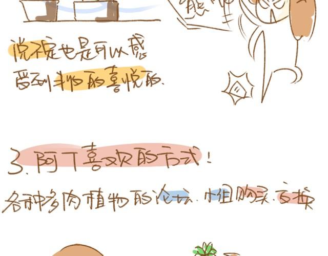 第1话 这么养多肉会死的！10