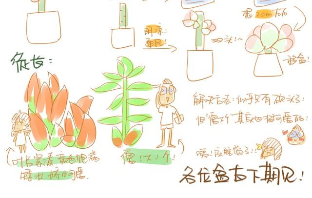 第6话 多肉笔记1