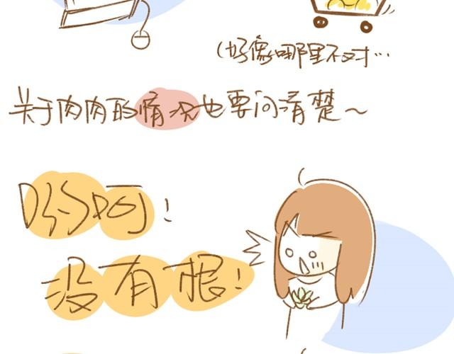 第1话 这么养多肉会死的！7