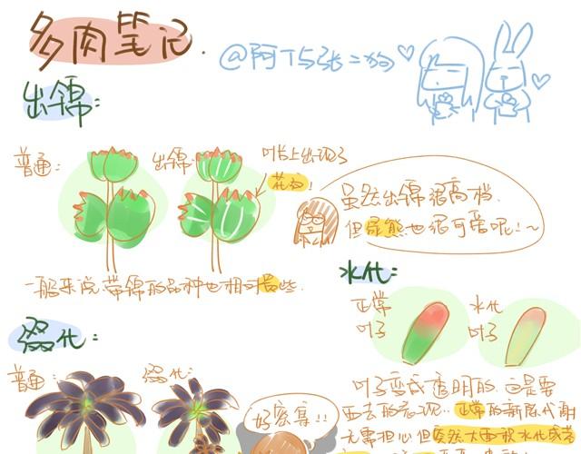 第6话 多肉笔记2