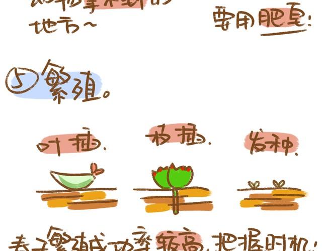 第5话 春季植物养护篇8