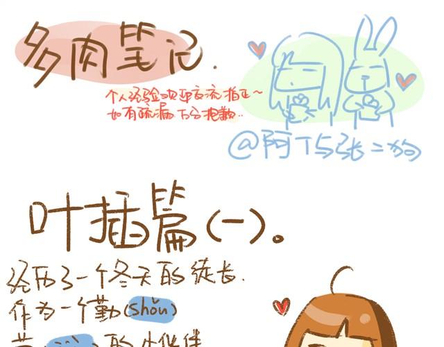 第3话 叶插篇（一）0
