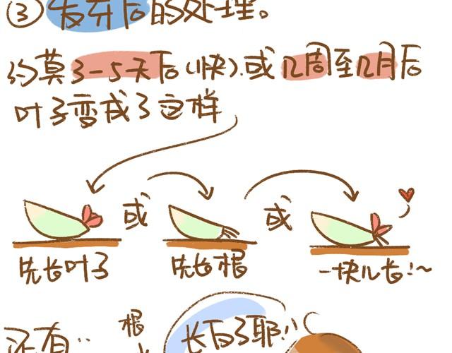 第4话 插叶篇（二）8