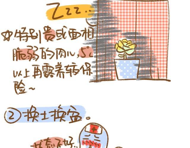第5话 春季植物养护篇2