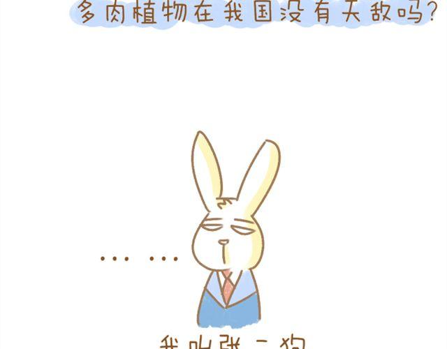 番外 辩论赛6