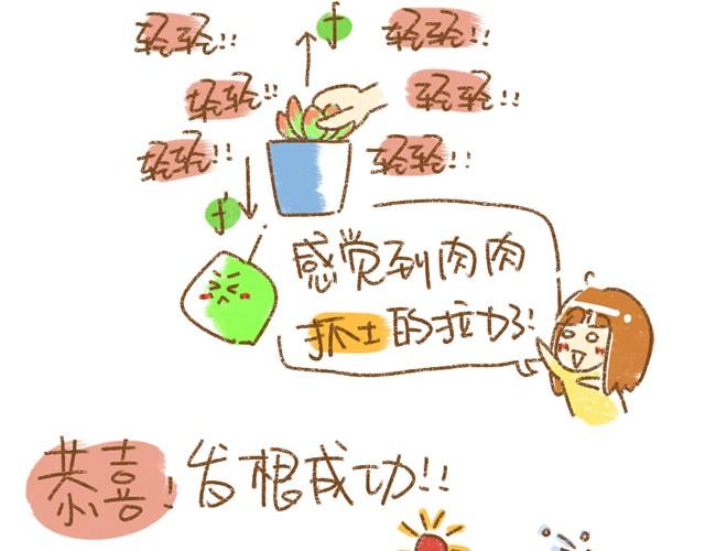 第2话 发根篇11