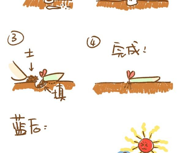 第4话 插叶篇（二）11