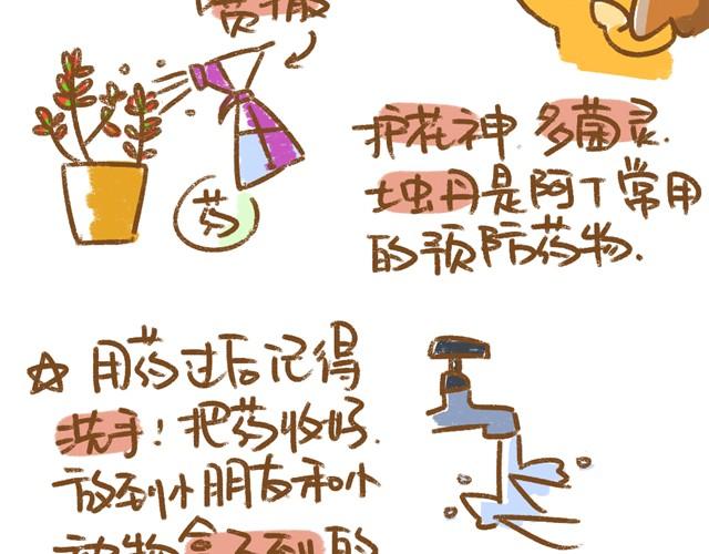 第5话 春季植物养护篇7