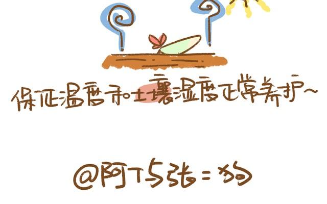 第4话 插叶篇（二）12