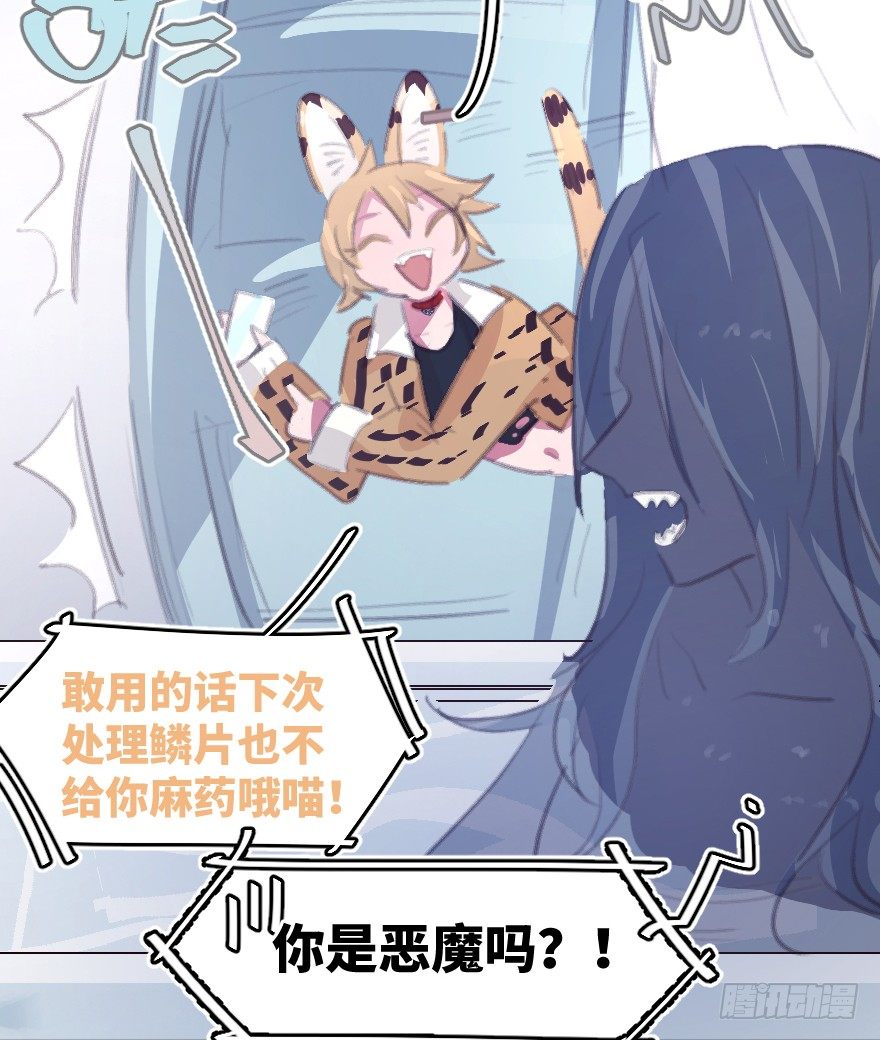 您有一条新私信11