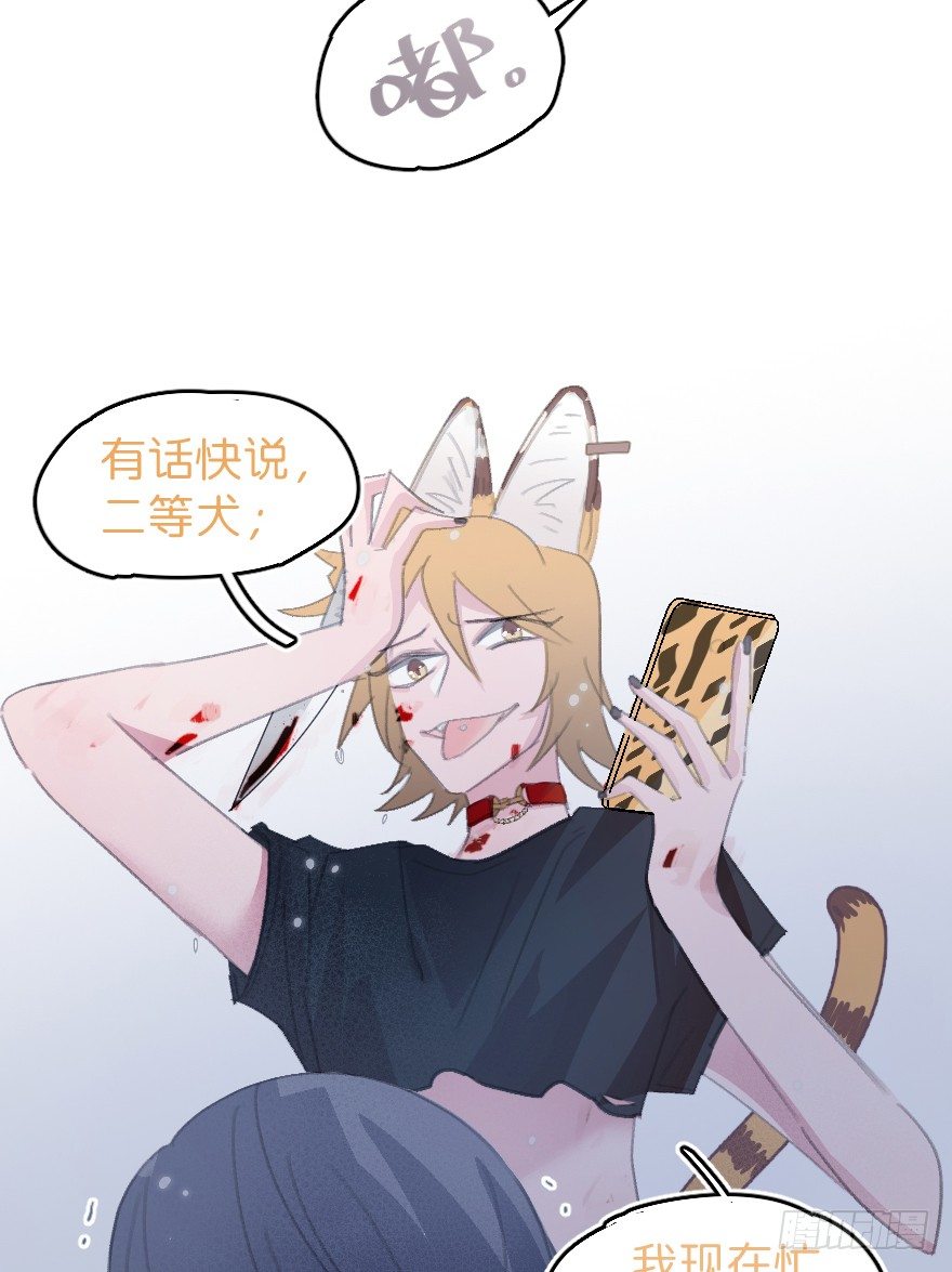 借你这个用一下11