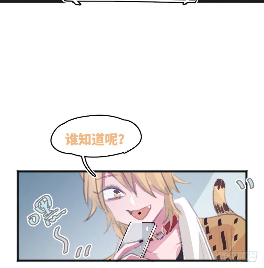 您有一条新私信12