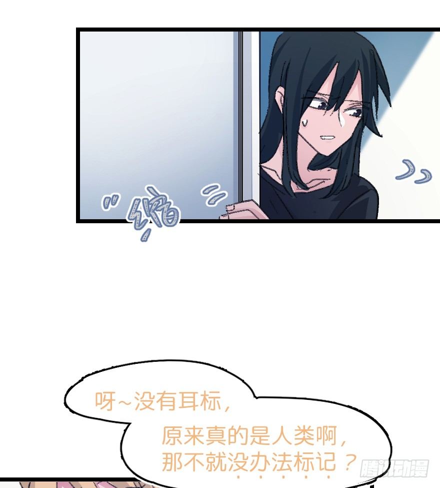 捣乱？37