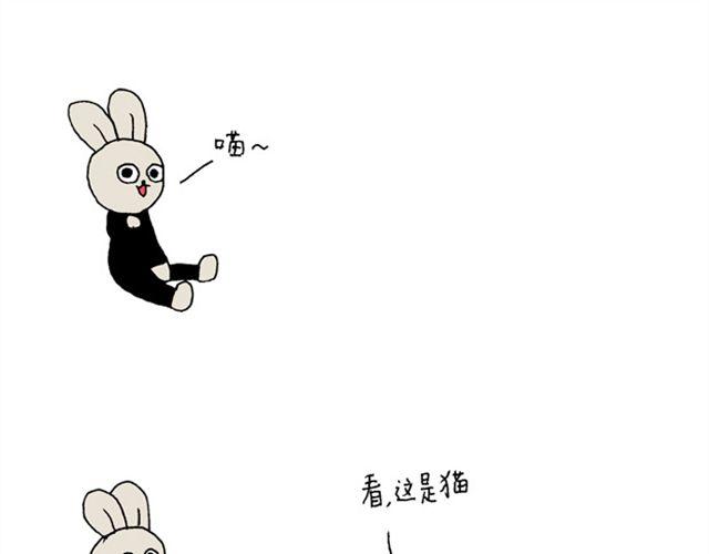 海豹漫画#3 我是一只猫12