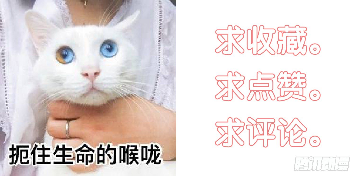 第二夜144