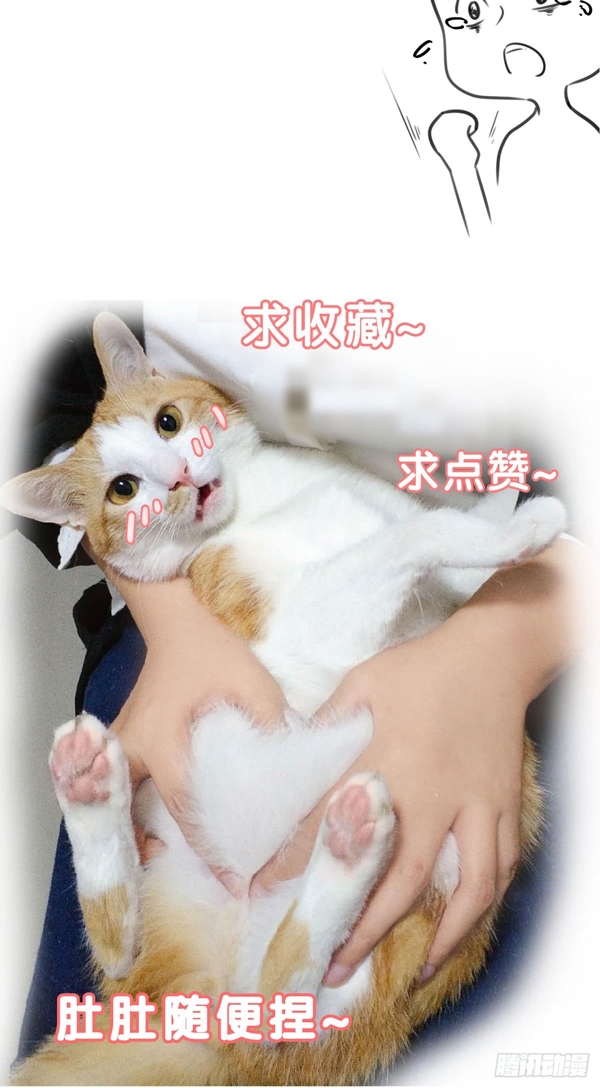 第一夜84