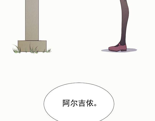 第10话 阿尔吉侬49