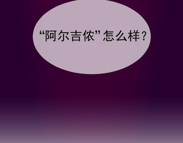 第10话 阿尔吉侬43