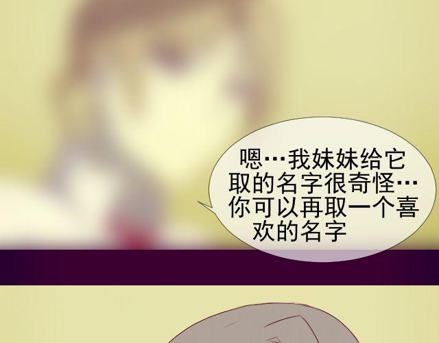 第10话 阿尔吉侬41