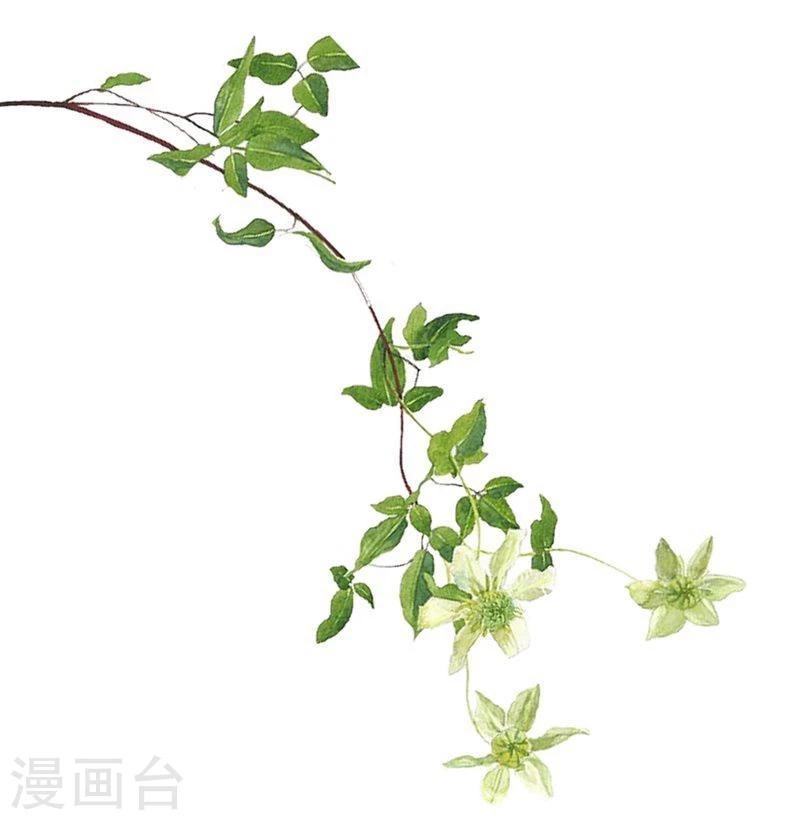 第3话 迷人的小妖精0