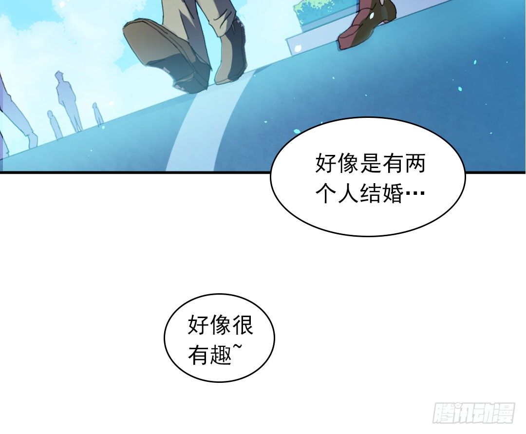 狗粮的味道41