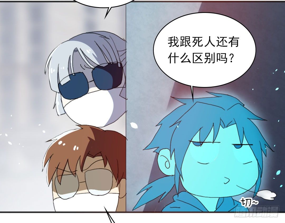 狗粮的味道44