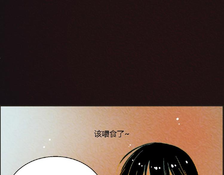第4话 养猫好痛苦！32