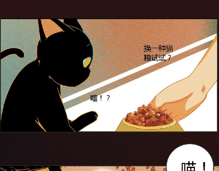 第4话 养猫好痛苦！37