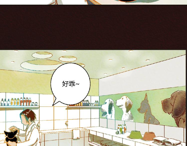 第4话 养猫好痛苦！3