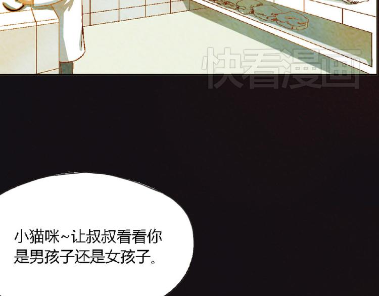 第4话 养猫好痛苦！4