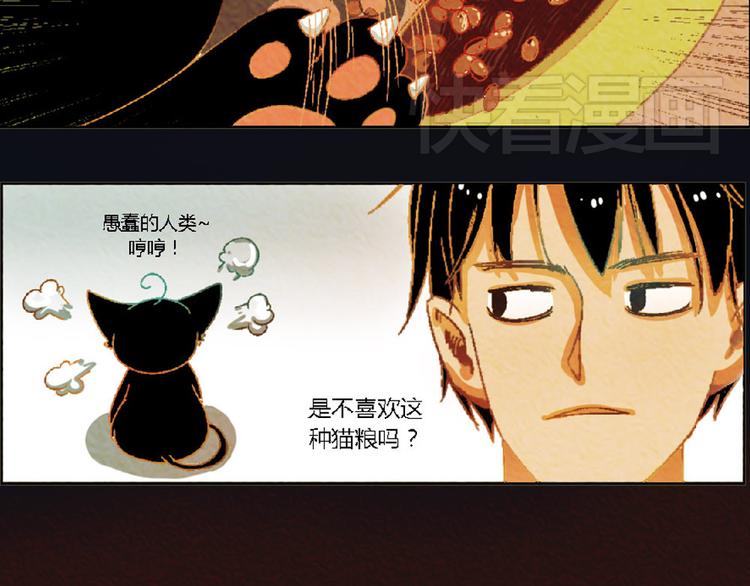 第4话 养猫好痛苦！36