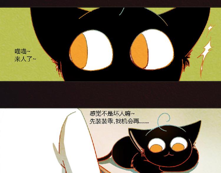 第4话 养猫好痛苦！2