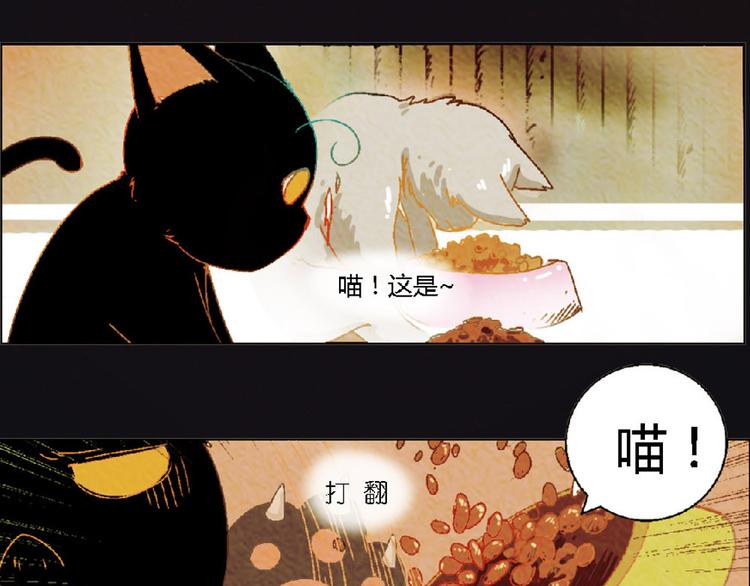 第4话 养猫好痛苦！35