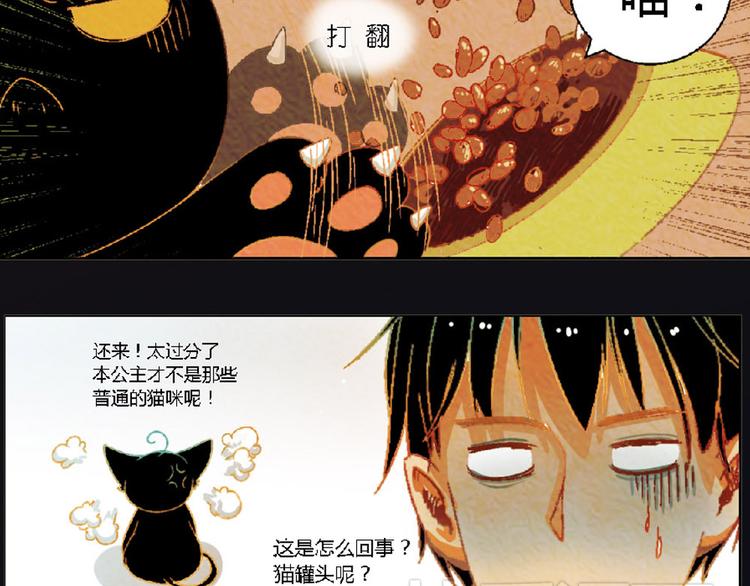 第4话 养猫好痛苦！38
