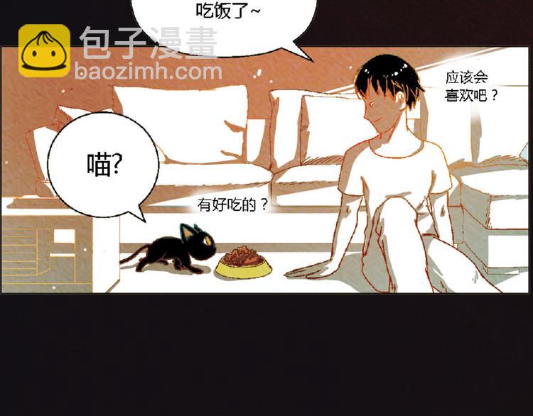 第4话 养猫好痛苦！34