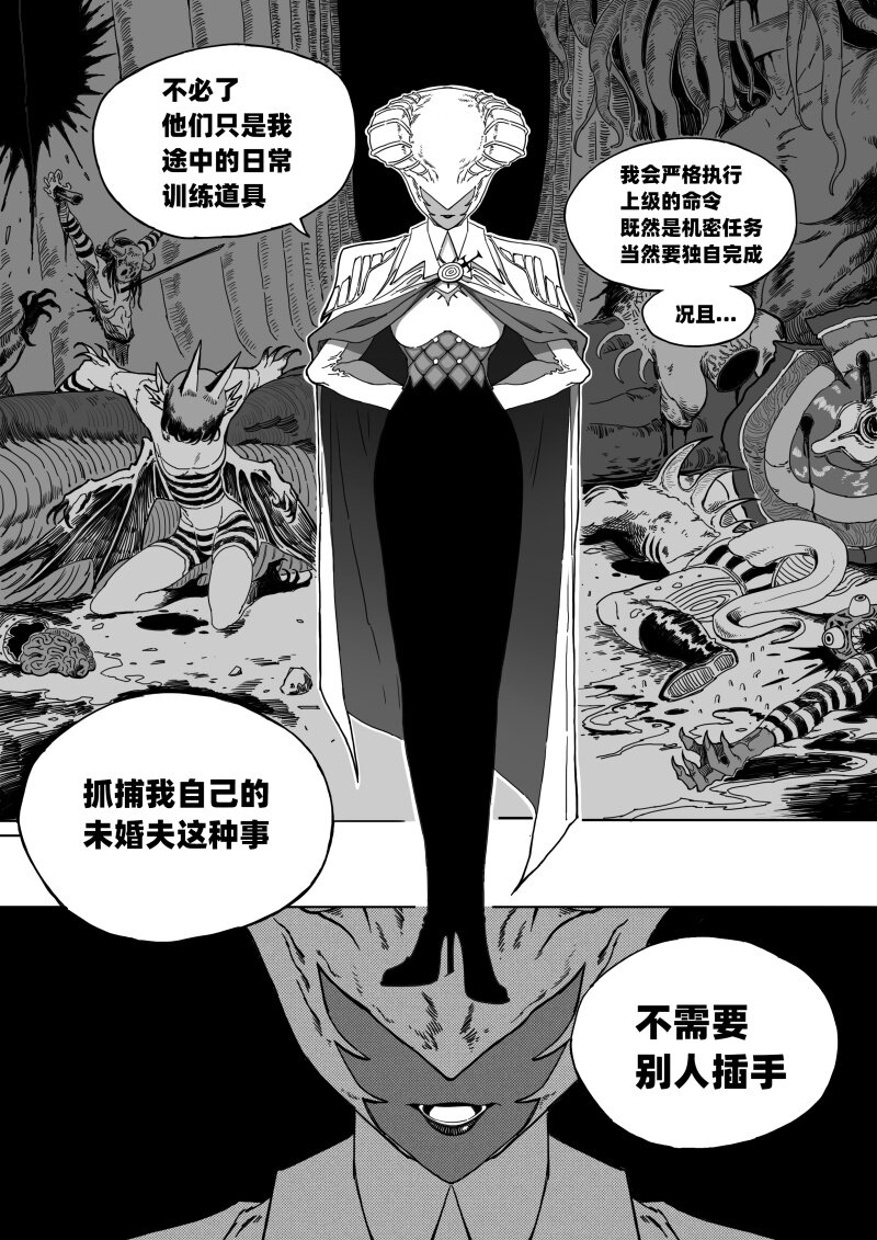 005 神秘的客人12