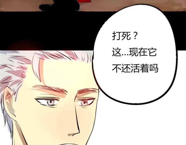 第2话 玄猫26