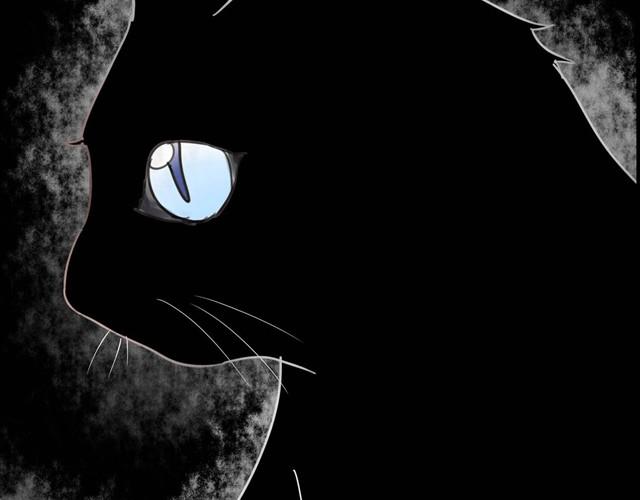第2话 玄猫12