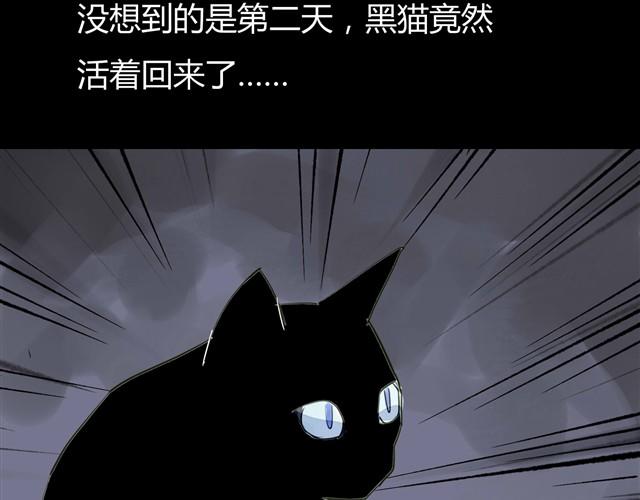 第2话 玄猫37