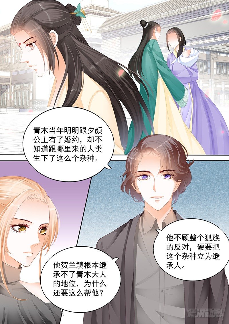 第十一回15