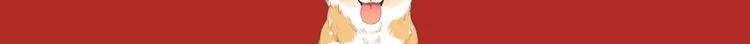 第六期 出轨，该不该被原谅？11
