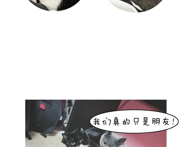 第5期 《贵族戏精课》101