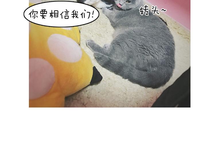 第5期 《贵族戏精课》102