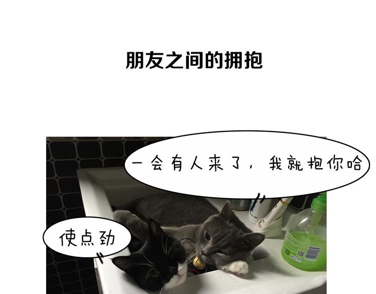 第5期 《贵族戏精课》83