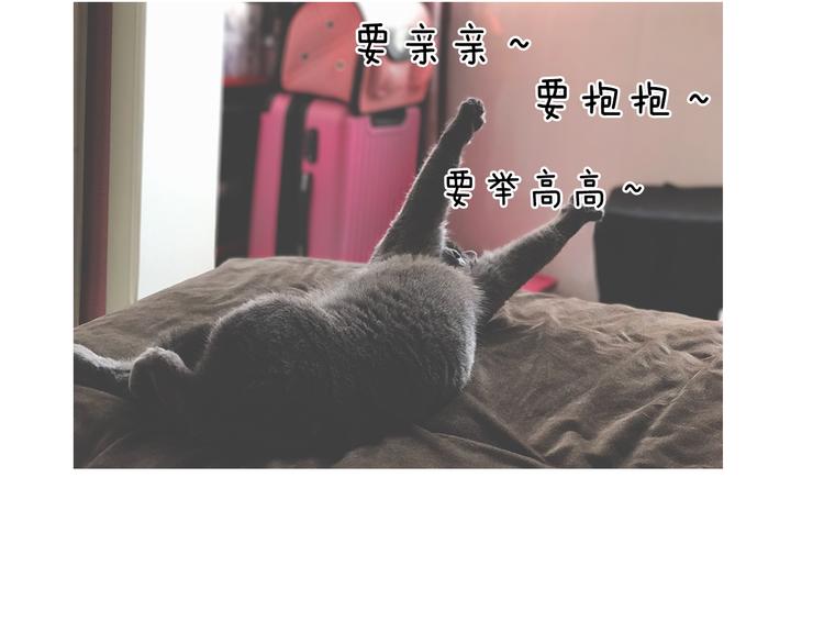 第5期 《贵族戏精课》70