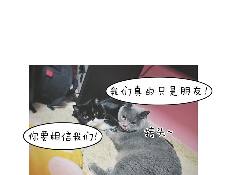 第5期 《贵族戏精课》89