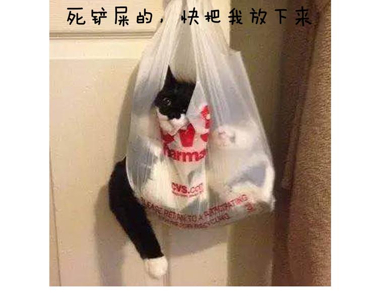 第5期 《贵族戏精课》26