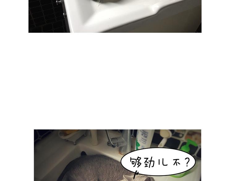 第5期 《贵族戏精课》84