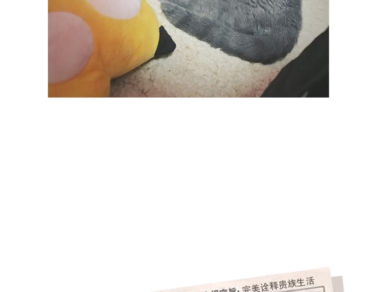 第5期 《贵族戏精课》90