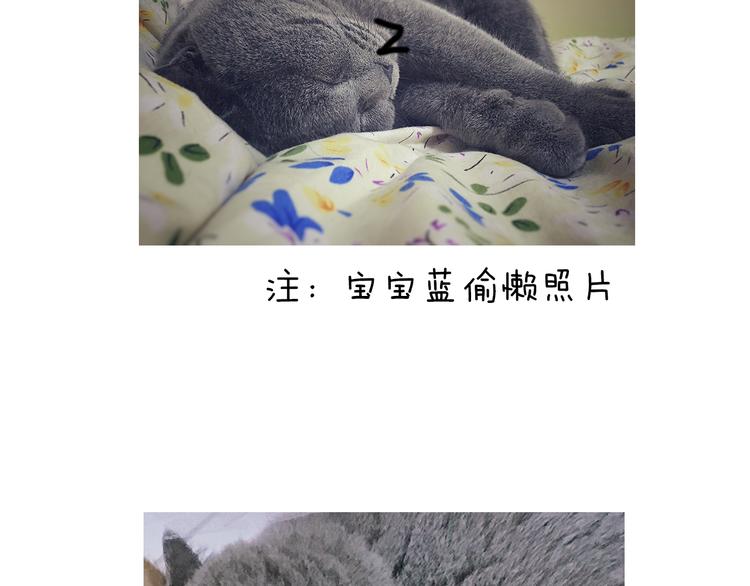 第5期 《贵族戏精课》59